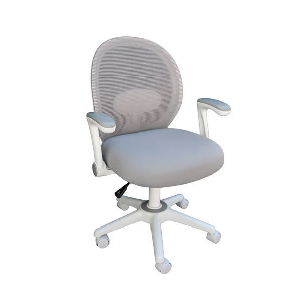 MESH CHAIR, 100MM GAS LIFT +R310(24.5)WHITE BASE