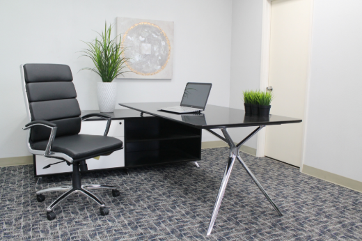 Picture for category Executive Chairs
